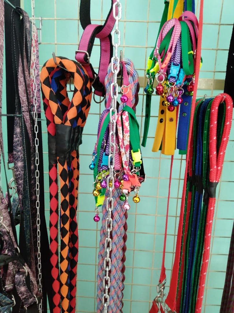 Colourful pet collars, leads, harnesses, and bells on display