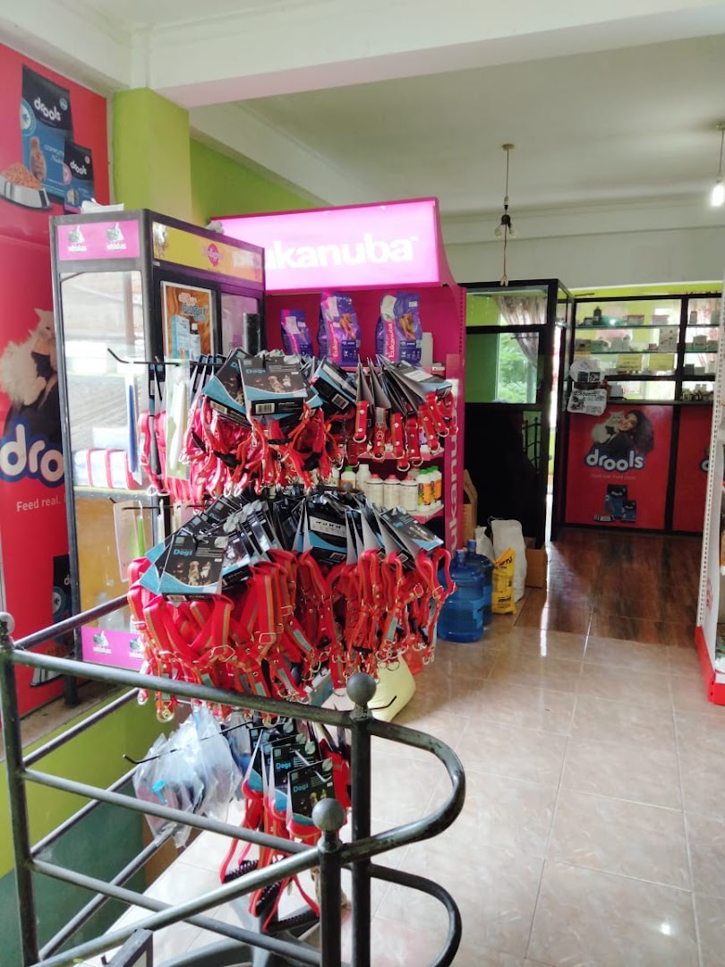Colourful pet accessory display and stocked shelves inside the clinic